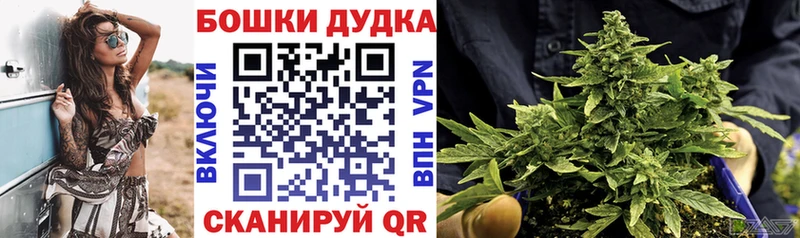 Шишки марихуана THC 21%  Петровск-Забайкальский 